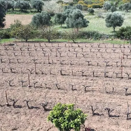 Rodanthy Ii Apartamento Katelios