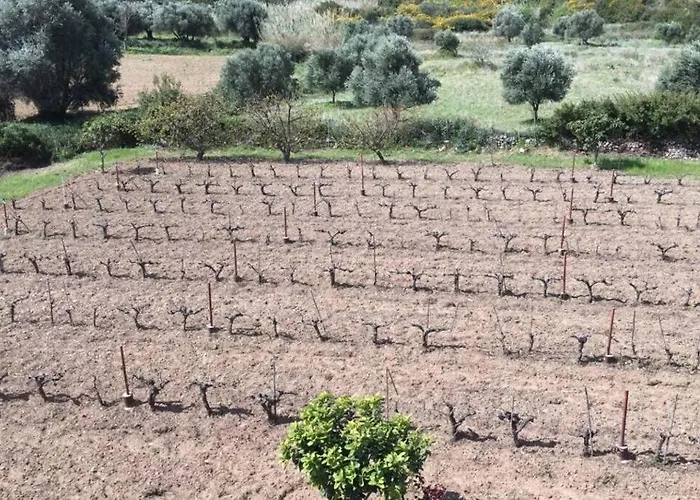 Rodanthy Ii Apartmán Katelios