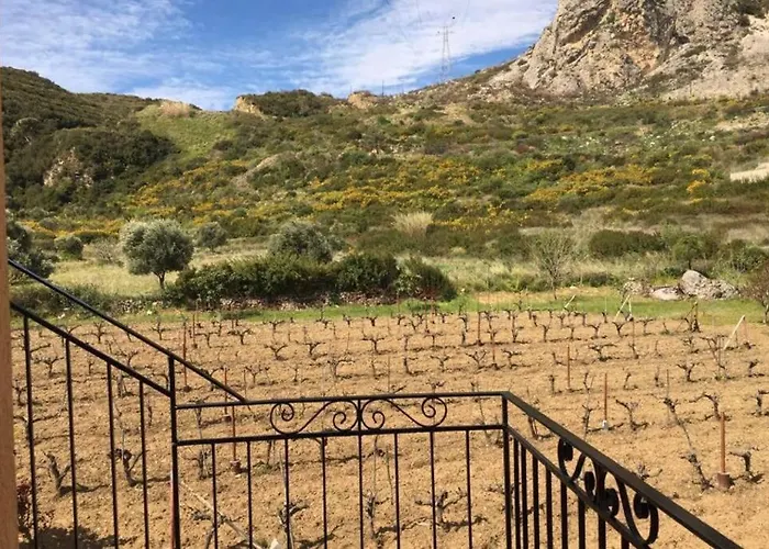 Rodanthy Ii * Katelios